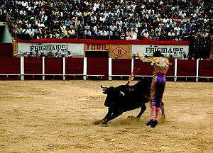 Oran- Arenes d' Eckmulh 45
